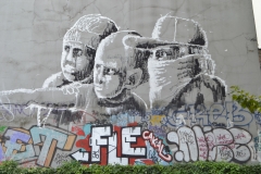 DSC_1630